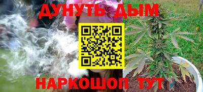 кокс Можга