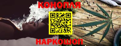 кокс Можга