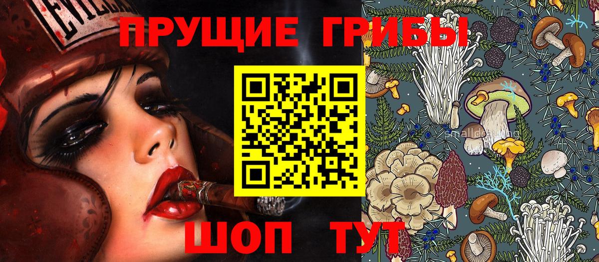 Псилоцибиновые грибы мухоморы Великий Устюг