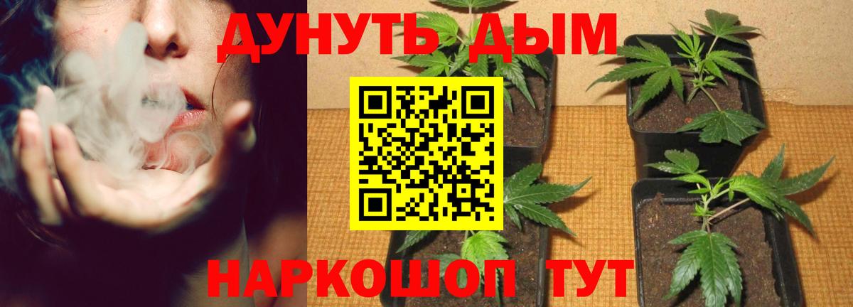 МАРИХУАНА ГИДРОПОН Великий Устюг